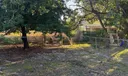 526 E 54th St #. Photo