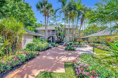 6925 Rain Forest Dr #6925 1