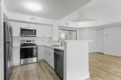 2113 Renaissance Boulevard #306 1