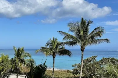 221 Ocean Grande Boulevard #504 1