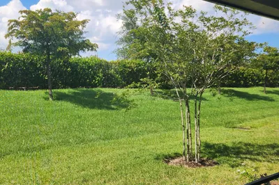 Port St. Lucie Residential 1