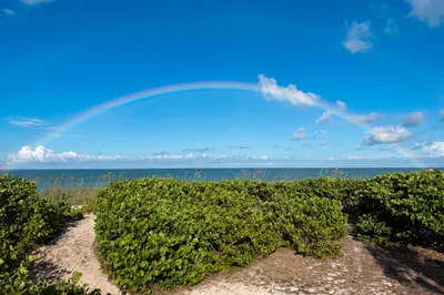 12356 Highway A1a Highway 1