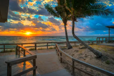 Lantana-Beach-Sunrise-with-Coconut-Trees