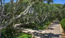 12331 Banyan Road Photo
