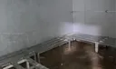 Inside Walk-in Cold Storage