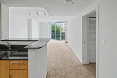 335 S Biscayne Boulevard #1002 1
