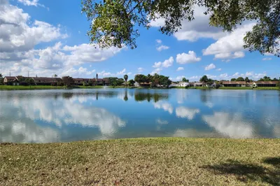 Serene View