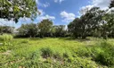 20650 Old Cutler Rd Photo