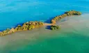 1 Bird Key Photo