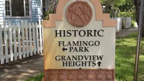 Flamingos and Misinformation