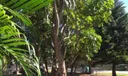 18202 NE 25th Pl #02 Photo
