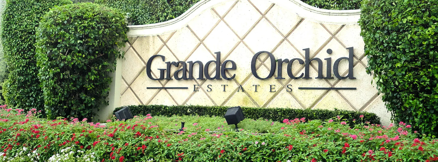Homes Sold By Jeff Lichtenstein in Grande Orchid