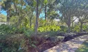 245 E Thatch Palm Circle Photo