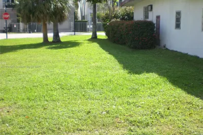 Yard