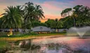 10370 Orchid Reserve Drive Photo