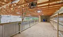 17593 Winterhawk Photo