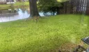 2811 Devonwood Ave Photo