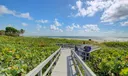 2687 N Ocean Boulevard #401-G Photo