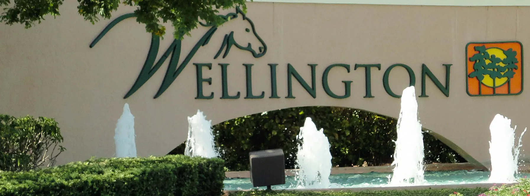 Homes Sold By Jeff Lichtenstein in Wellington