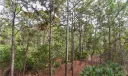 952 SE Willoughby Trace Photo