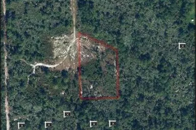 land 1