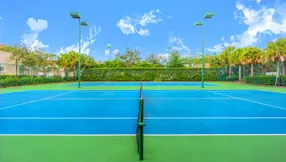 Non-Club Pickleball Communities in South Palm Beach County