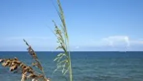 Jupiter Island | Discover The Secrets Of The Life Fantastic Wealth Can Bring