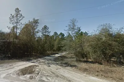 Lot 10 NE 100 Ave 1