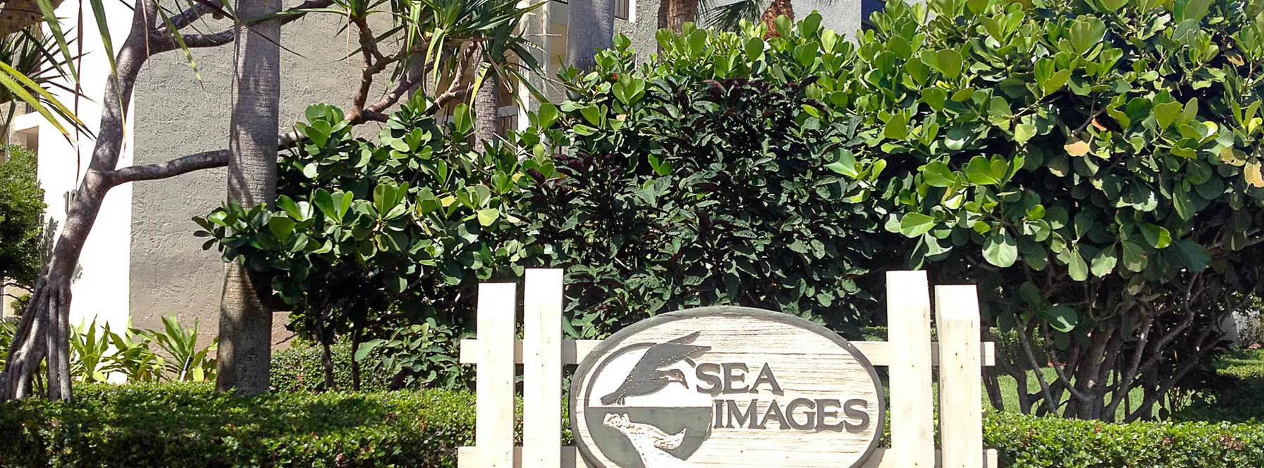 Homes Sold By Jeff Lichtenstein in Sea Images