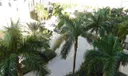 550 Okeechobee Boulevard #621 Photo