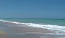 2400 S Ocean Drive #4143 Photo