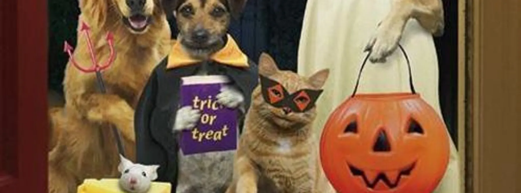 Howl-O-Ween Pet Contest