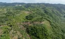 Playa Jackson Samana Photo