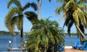 267 River Drive Photo