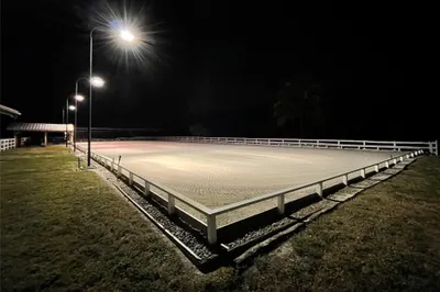 Arena at Night