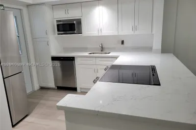1333 E Hallandale Beach Blvd #329 1