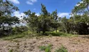 20650 Old Cutler Rd Photo