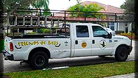 Bats In Your Florida Home? Call ‘Friends of Bats’ To Remove Them Safely!