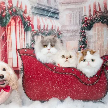 12 Days of Christmas/Relatives