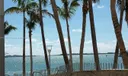 325 S Biscayne Blvd #3120 Photo