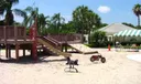 2813 SW Lakemont Place Photo