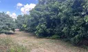 Sw Photo
