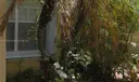 10929 SW 149th Pl 0 Photo