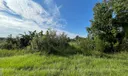 19466 NW 258th Street Photo