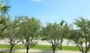 38 Harbour Isle Drive E #204 Photo