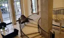 5601 COLLINS AVE #408 Photo