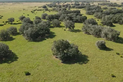 101 Percheron Trail 1
