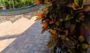 355 Main Boulevard #A Photo