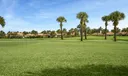 10347 Orchid Reserve Drive Photo