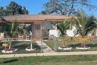 Beautiful Palm trees. Landscaping.